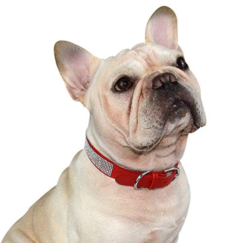 Hifrenchies Collares de piel de ante suave para perros franceses con diamantes de imitación de cristal, collar brillante para gatos, cachorros y otros perros pequeños y medianos (M,rojo)