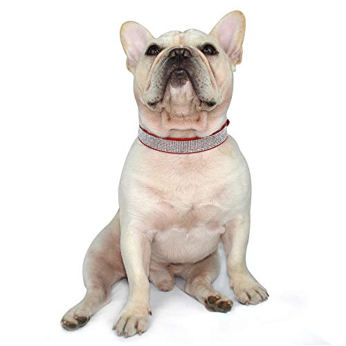 Hifrenchies Collares de piel de ante suave para perros franceses con diamantes de imitación de cristal, collar brillante para gatos, cachorros y otros perros pequeños y medianos (M,rojo)