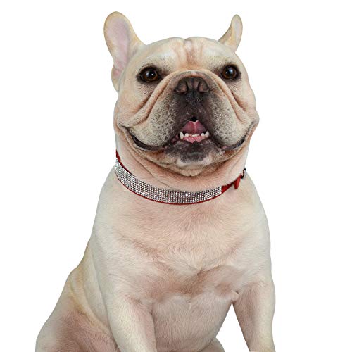 Hifrenchies Collares de piel de ante suave para perros franceses con diamantes de imitación de cristal, collar brillante para gatos, cachorros y otros perros pequeños y medianos (M,rojo)