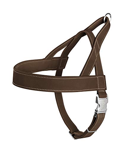Hunter Norwegian arnés para Perros Caza, 45 x 58-79 cm, marrón