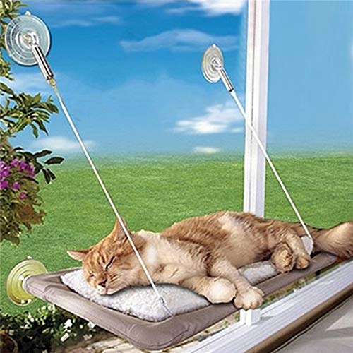 iFCOW Hamaca para ventana de gato, ventana de gato, perca, ahorro de espacio, montaje en ventana, estante para gatito