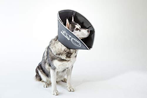 James and Steel All Four Paws - Collarín de recuperación para Mascotas The Comfy Cone