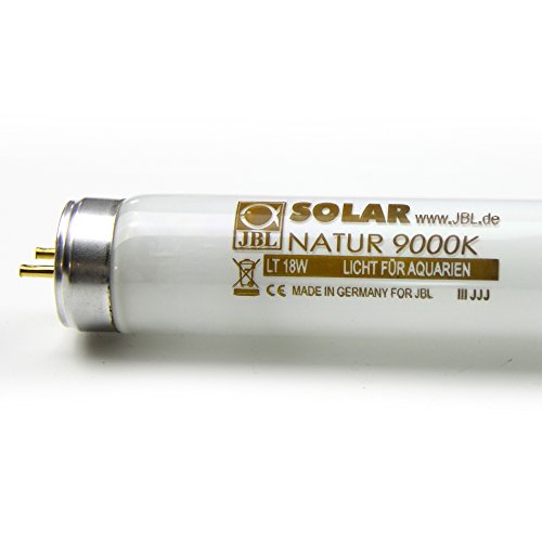 JBL - Tubo Fluorescente, de luz Diurna para acuarios de Agua Dulce, Solar Natural