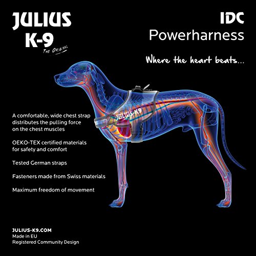 JULIUS-K9 16IDC Power Harness