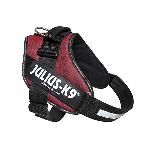 JULIUS-K9 16IDC Power Harness