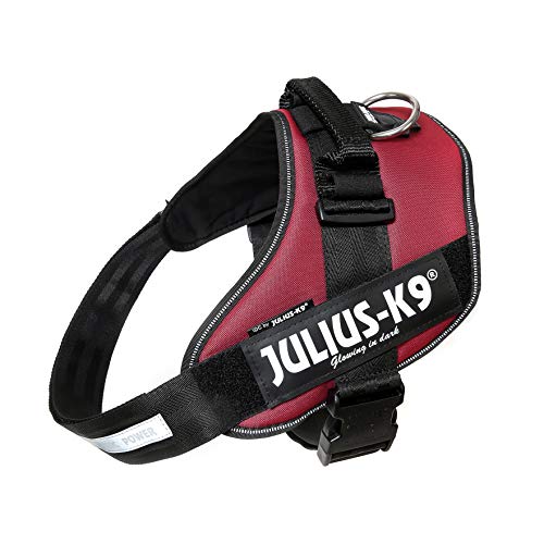 JULIUS-K9 16IDC Power Harness
