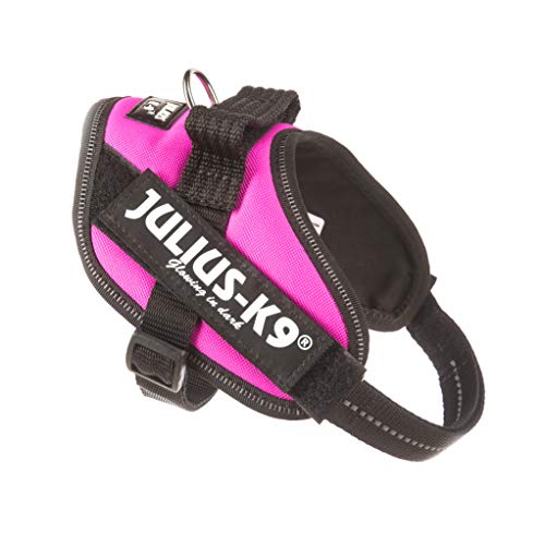 JULIUS-K9 16IDC Power Harness