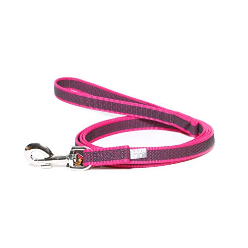 Julius-K9 216GM-PN-S2 Color & Gray Correa de Perro del Estupendo-Apretón con Asa, 20 mm x 2 m, Rosa y Gris