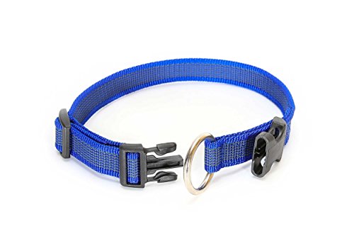 Julius-K9 Collar Color & Gray, 25 mm 39/65 cm, Azul/Gris