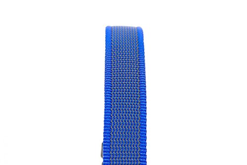Julius-K9 Collar Color & Gray, 25 mm 39/65 cm, Azul/Gris