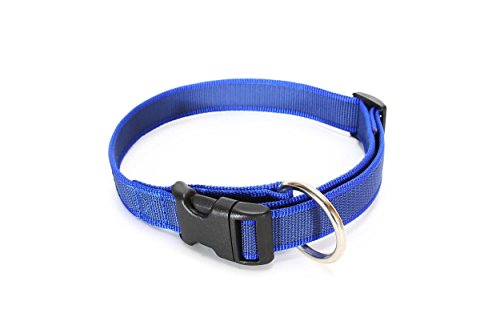 Julius-K9 Collar Color & Gray, 25 mm 39/65 cm, Azul/Gris