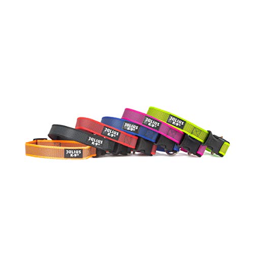 Julius-K9 Collar Color & Gray, 25 mm 39/65 cm, Azul/Gris