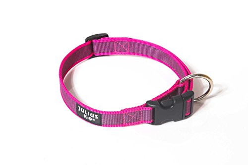 Julius-K9 Collar Color & Gray, 25 mm 39/65 cm, Rosa/Gris