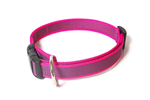 Julius-K9 Collar Color & Gray, 25 mm 39/65 cm, Rosa/Gris