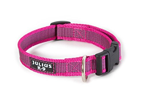 Julius-K9 Collar Color & Gray, 25 mm 39/65 cm, Rosa/Gris