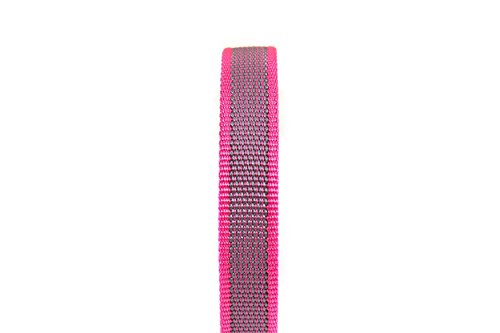 Julius-K9 Collar Color & Gray, 25 mm 39/65 cm, Rosa/Gris
