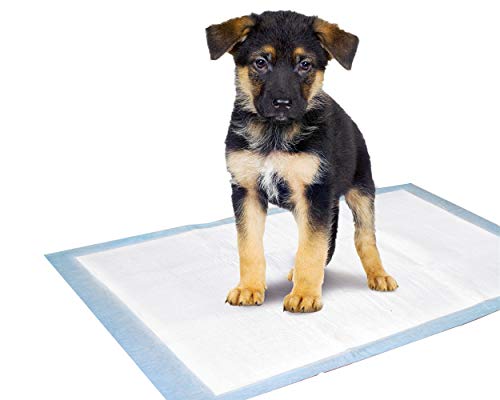 Karlie 1031319 Empapadores para Perro, 35 x 45 cm, S
