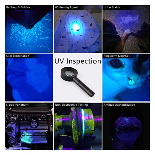 Lámpara Analizadora De Piel, Para Belleza Analizador De Piel Facial Prueba De Luz Dispositivo De Análisis Facial, Cuidado De Perros / Gatos, Autenticación Antigua, Luz De Antorcha De Diagnóstico