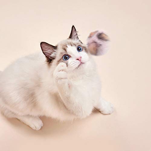 Leiouser - Juego de 10 divertidos juguetes interactivos para gatos con diseño de rayas de cebra, leopardo, masticar, morder, bola de felpa, suministros para mascotas que contiene hierba de hierba