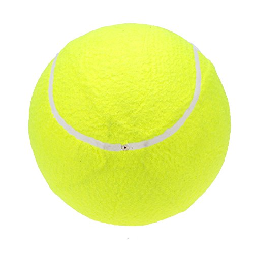 Lixada Pelota de Tenis Grande 9.5in/23cm para Niños Adultos Mascotas