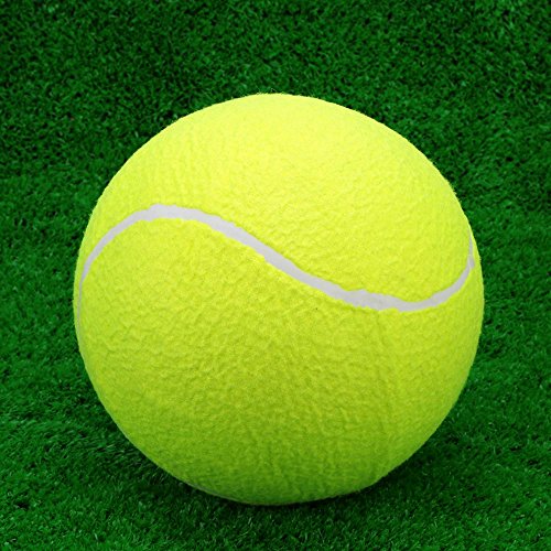 Lixada Pelota de Tenis Grande 9.5in/23cm para Niños Adultos Mascotas