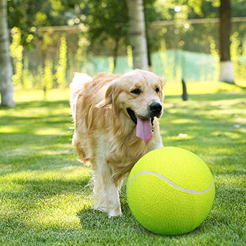 Lixada Pelota de Tenis Grande 9.5in/23cm para Niños Adultos Mascotas