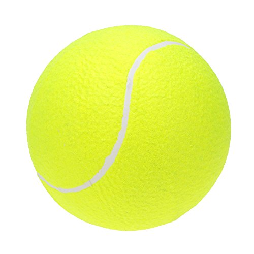 Lixada Pelota de Tenis Grande 9.5in/23cm para Niños Adultos Mascotas