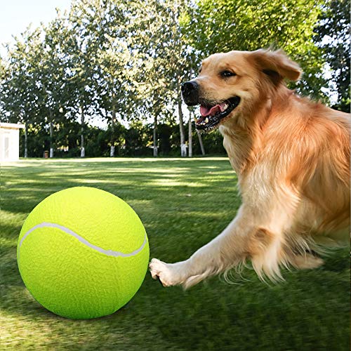 Lixada Pelota de Tenis Grande 9.5in/23cm para Niños Adultos Mascotas