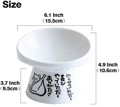 lovecabin Comedero Gato Elevado Inclinado, Comedero Ortopedico para Gatos Tazon Antivomito Gatos,para Proteger La Columna Vertebral del Cuello del Gatito Y Perrito#1-M