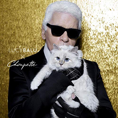 LucyBalu X Choupette I Edición Limitada I Hamaca para Gato I Hamaca de Pared 65 x 10 x 35 cm I Metal Recubierto de Polvo y Fieltro de Lana Natural (Blanco/Champagne Melange)
