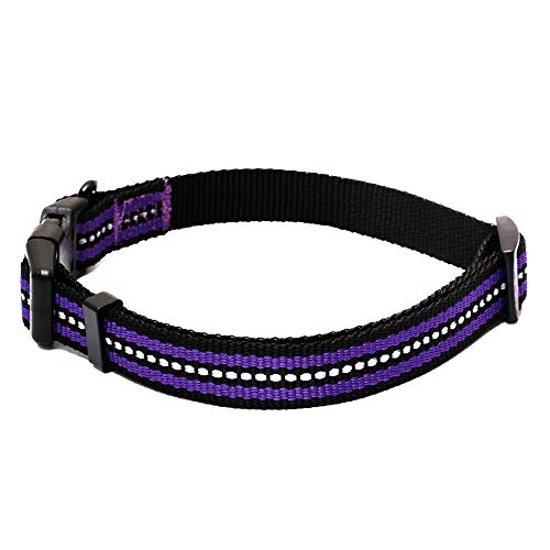 Mile High Life Combo Pack de Collar de Correa para Perro Raya Reflectante 3M (L, Morado 4)