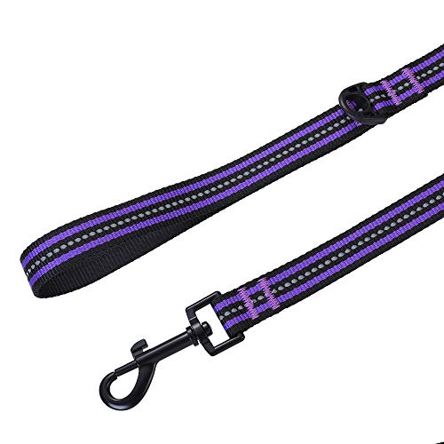 Mile High Life Combo Pack de Collar de Correa para Perro Raya Reflectante 3M (L, Morado 4)