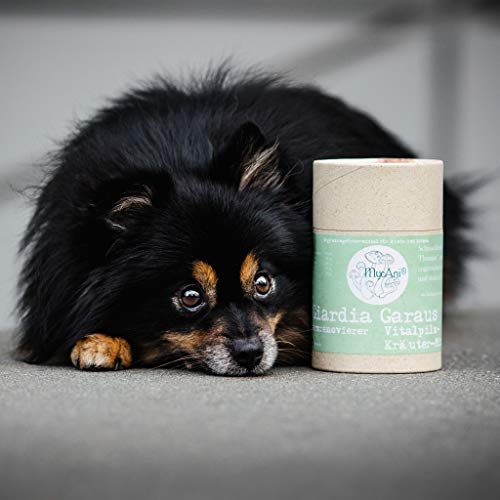 MycAni Giardia Garaus - Mezcla de hierbas y setas vitales para perros y gatos