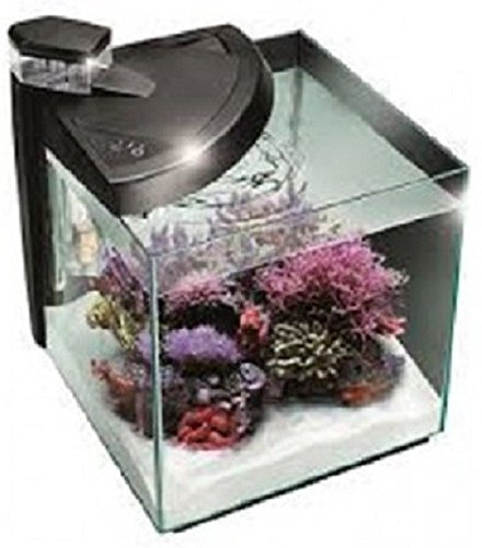 Newa Acquario Newamore Marine NMO 50R Nero 45 litri