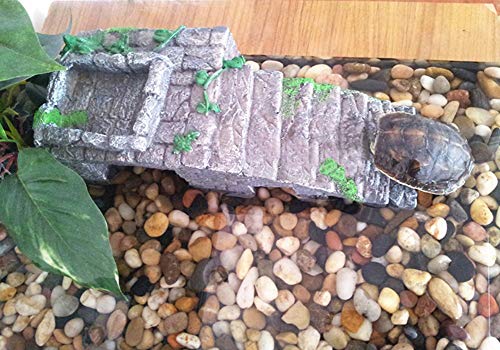 OMEM Caja de cría de reptiles, hábitat, decoración de terrario, escondite de tortuga, rampa para tomar el agua, cuenco de alimentación, humidificar las cuevas