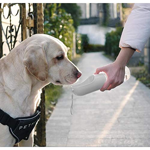Ownlife Botella de Fugas a Prueba de la Botella de Agua del Recorrido del Perro de Botellas de Pet Botella de Agua portátil for Perros y Gatos, PDA Cup Gratis, Perros pequeños Beber (tamaño : 300ml)
