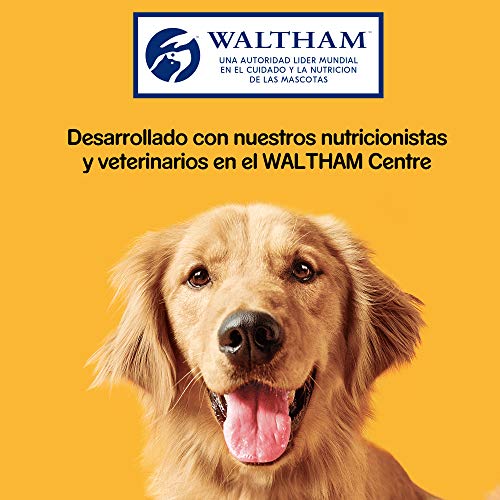 Pedigree Galletas Markies Para Mimar a tu Perro Mediano (Pack De 12 x 500g)