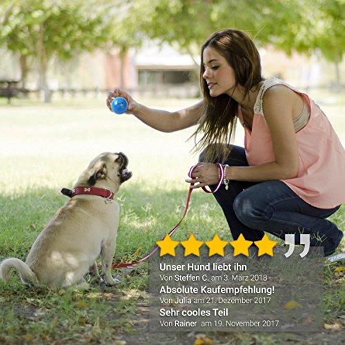 PetPäl Pelota de Caucho Natural para Perros