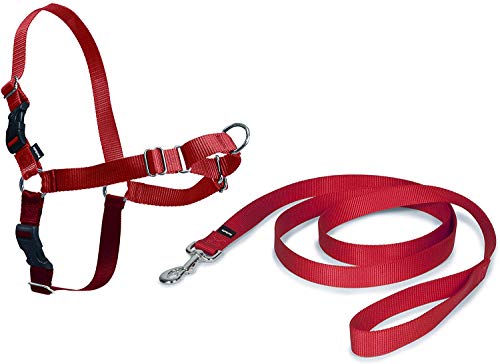 PetSafe Arnés Easy Walk para Perros pequeños, medianos y Grandes, Mediano, Rojo, Correa de 1,8 m