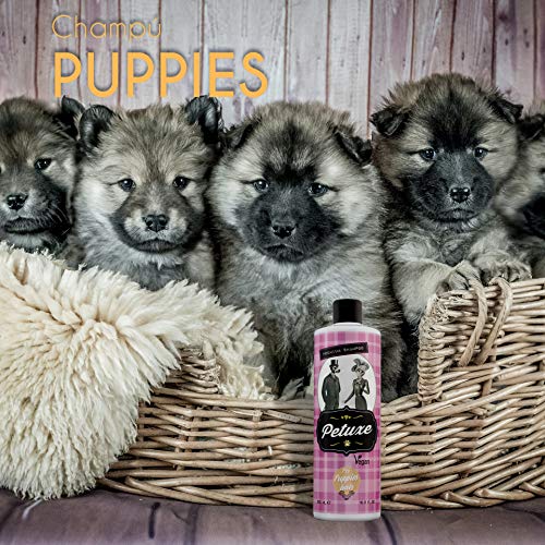 Petuxe Champú Vegano para cachorros. Champú Vegano Perros. Champú Mascotas. Todas las razas. Lavante, hidratante y vitalizante. Aloe Vera ecológico (500 ml)