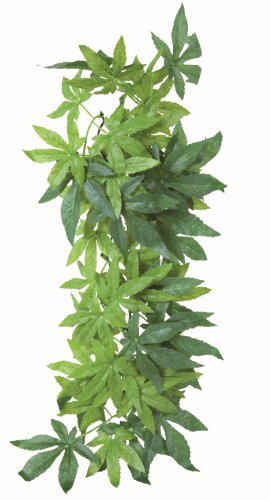 Planta seda colgante terrarios Abutilon TRIXIE Decoracion terrario habitat reptil