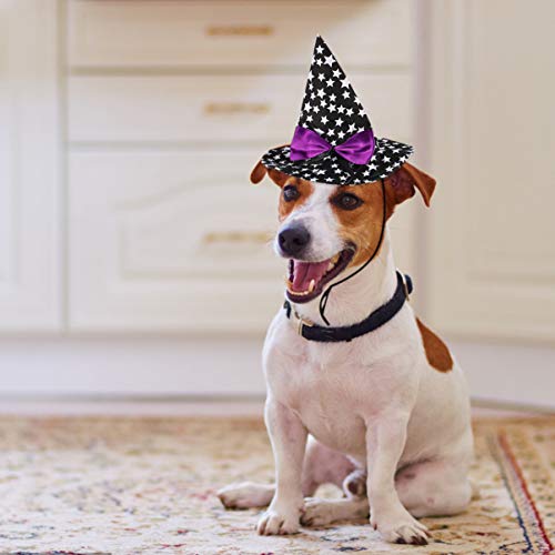 POPETPOP Gato Perros Disfraz de Halloween Gorra Bruja Mago Mascota Traje Ropa Ropa Divertida Accesorio Negro