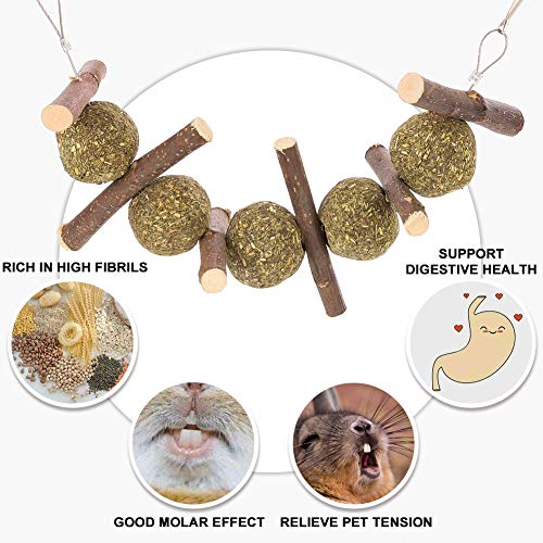 Popuppe 2 piezas juguete para masticar ramas de manzana natural para pasteles de hierba, bola de hierba, juguetes para pequeños animales conejos, hámsters, chinchillas cobayas