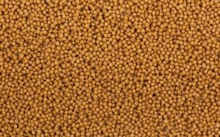 Psittacus Pienso para Agapornis - 450 gr