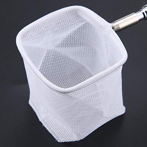 Pssopp Red de Aterrizaje de Pesca, Extensibles telescópicas Fish Shrimp Skimming Net Manija de Acero Inoxidable Red de Pesca para el Acuario Fish Tank Pond Creek (Cuadrado-Verde)