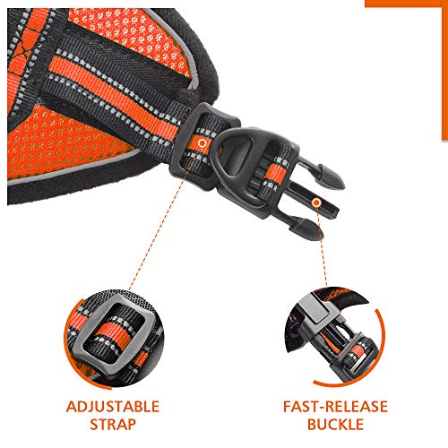 rabbitgoo Arnes Gatos y Correa 150cm Chaleco Ajustable Antitirones Reflectante Cómodo Correa Mágica para Fácil de Poner y Quitar para Paseo Diario Arnes para Perro Pequeño Conejos Gatos M Naranja