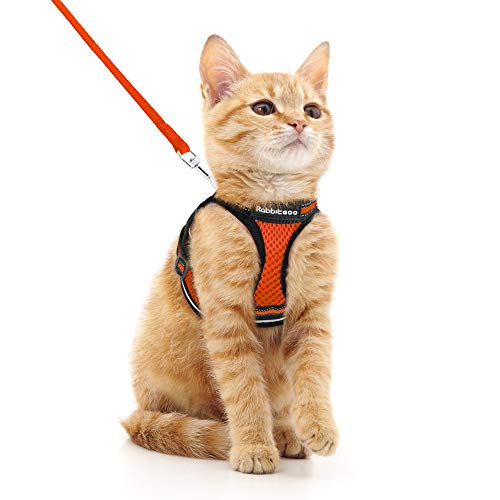 rabbitgoo Arnes Gatos y Correa 150cm Chaleco Ajustable Antitirones Reflectante Cómodo Correa Mágica para Fácil de Poner y Quitar para Paseo Diario Arnes para Perro Pequeño Conejos Gatos M Naranja