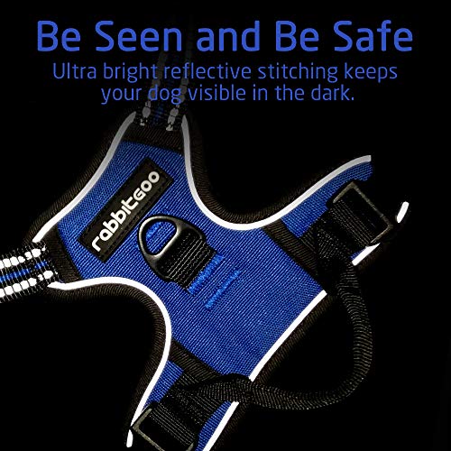 rabbitgoo Azul Arnés Perro Chaleco Antitirones Perros Seguridad Arnés Grande Coche Bicicleta Hebillas Resistentes Correas Ajustables Color Azul Tamaño L Grande