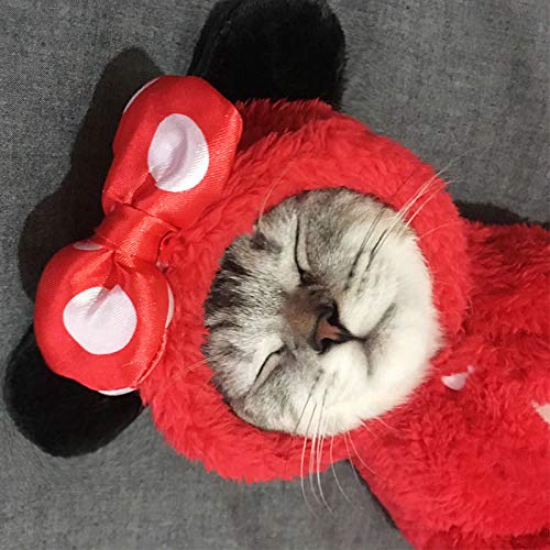 Ropa De Gato Gatito Gatos Lindas Mascotas Divertidas Vestir Gatito Ropa De Invierno Perros Abrigado Vestir L Medida del Pecho 47cm Largo de Espalda 35cm Tsundere Mini