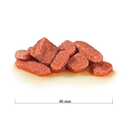 Royal Vet Feline Skin Coat Pouch Caja 12X85Gr 1000 g